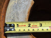 AUMA Gearbox GSD315-F40-LR