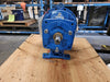 GOULDS Peerless Pump 8196 MTP 1X2-10 Condensate
