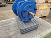 GOULDS Rotating Element 3196MTX 1X2-10 c/w 10" Foot Frame