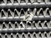 HITACHI Radiator Assembly 4703358