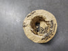 BALDOR Bearing Babbitt 076876069R