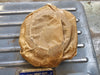 SKF Bearing Seal TER517/2-15/16C