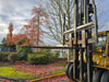 CATERPILLAR 20,000 lb Diesel Forklift V200B STR