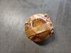 TORRINGTON Needle Ball Bearing B-7055-B