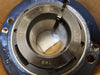 BLUE BRUTE Flange Mount Roller Bearing 2-7/16" Bore, QMCW13J207ST/ FCB22439H