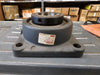 NTN Flanged Mounted Bearing UCFX10-31 1-15/16"