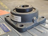 NTN Flanged Mounted Bearing UCFX10-31 1-15/16"