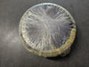 TIMKEN Tapered Roller Bearing 184mm ID x 266mm OD x 47mm W, 67883-90228/052631