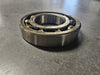 SKF Single Row Ball Bearing 50mm ID x 101mm OD x 20mm W, RLS 16 C3