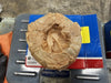 SKF Split Seal 3-7/16" Bore, TSNC520-307E