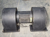 ROTRON 0.75 hp, 600 Volt, 3325 RPM Centrifugal Fan B1610