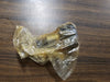 MCGILL 1-1/2" Flat Cam Follower CFE 1-1/2 S