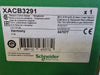 SCHNEIDER ELECTRIC Pedant Control Station XACB3291