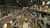 Gold Process Plant