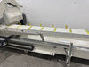 OZ MACHINE Double Head Cutting Machine Gemini VI