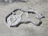 CUMMINS Gear Housing 3963834