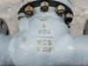 FBV 3" Class 600 Check Valve 