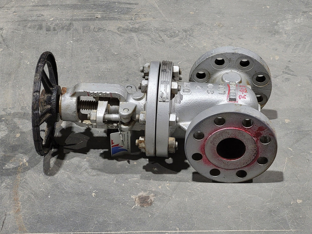 DHV 2" Class 300 Gate Valve C123F6