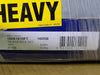 RENOLD 10 ft Riveted Roller Chain 100RB, 100A1X10FT