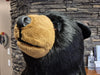 THE STUFFED ANIMAL HOUSE 6'-3" Black Bear Display