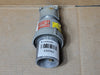 APPLETON 60 Amp, 600 Volt, 4 Pole, 3 Wire Plug ACP6034BC