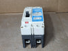 CUTLER-HAMMER 100 Amp, 2 Pole, 600 V Circuit Breaker FDB2100