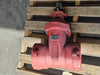 TERMINAL CITY Fire Main Wedge Gate Valve RWGV3100