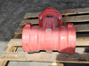 TERMINAL CITY Fire Main Wedge Gate Valve RWGV3100