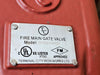 TERMINAL CITY 12" Fire Main Wedge Gate Valve RWGV3400