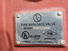 TERMINAL CITY 12" Fire Main Wedge Gate Valve RWGV3400