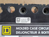 SQUARE D 20 Amp, 3 Pole, 600 Volts Circuit Breaker FAP36020
