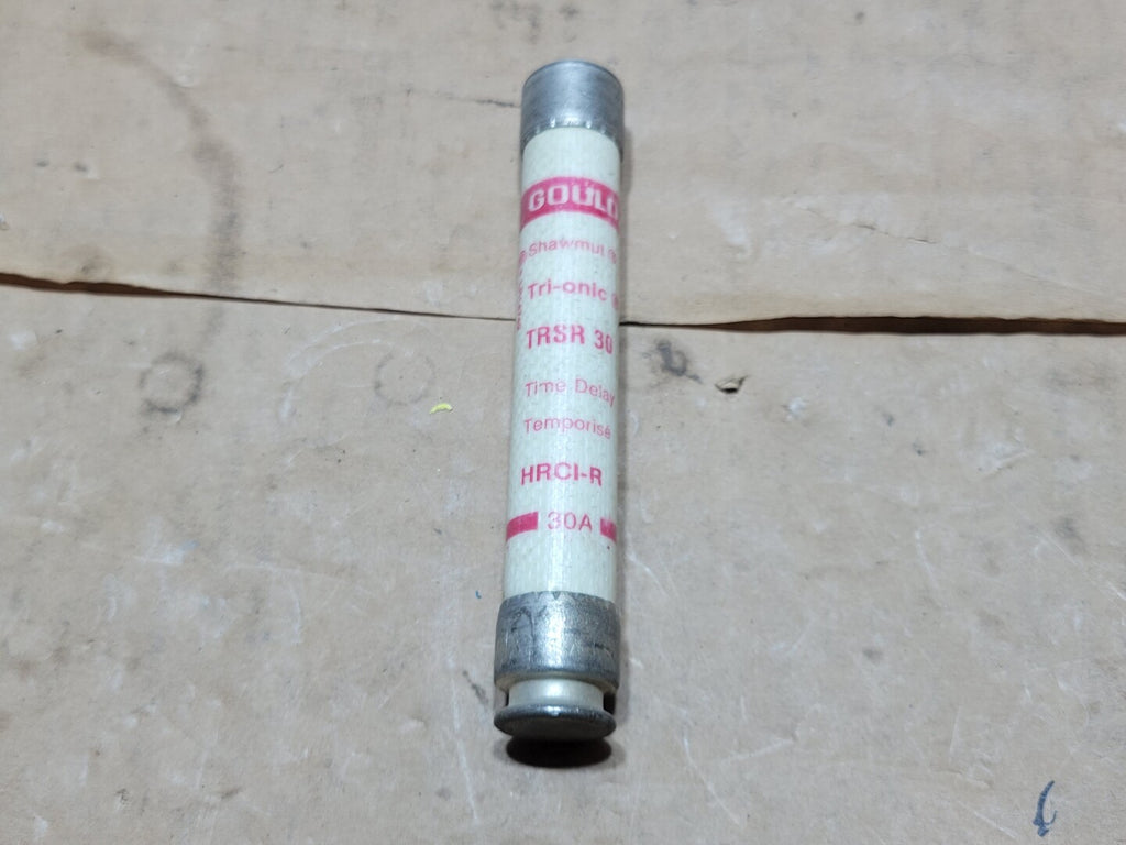 GOULD 30 Amp, 600 Volt Time-Delay Fuse TRSR30