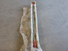 CATERPILLAR 37 External Spline Teeth Axle Shaft 481-7361