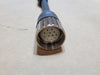 ANSUL Y-Connector Cable 434106