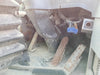 KOMATSU WA250PT-5L Wheel Loader - Parts Machine - Sold As-Is