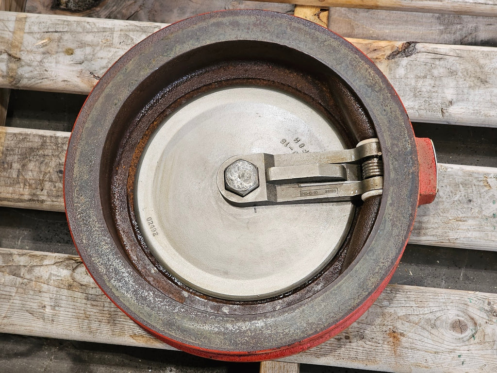 BRAY 10", 250 PSI Wafer Swing Check Valve V10212