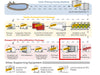 EVOQUA Reverse Osmosis  Membrane Trains