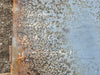 1" x 4' x 8' Steel Plate AR400