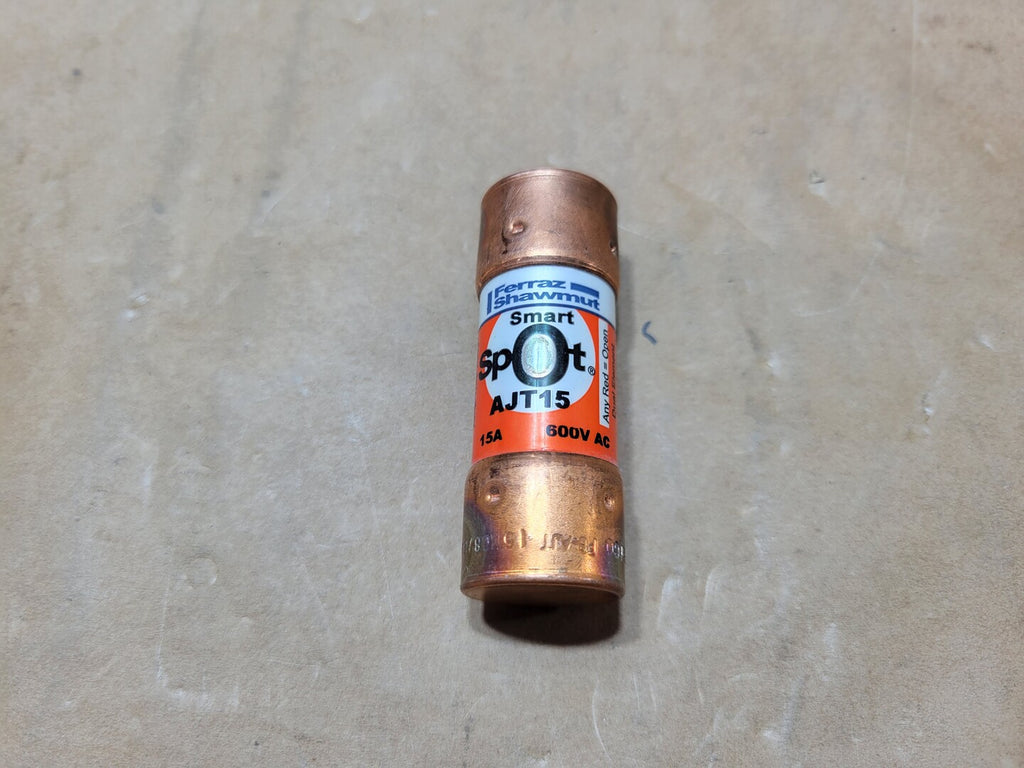 FERRAZ SHAWMUT 15 Amp, 600 Volts, Class J Time Delay Fuse AJT15
