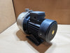 GRUNDFOS CHI2-20 A-B-G-BQQE 0.30 HP 575V 3-Phase 13 GPM Stainless Steel Centrifugal Pump