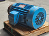 HYUNDAI 20 hp 1765 rpm 230/460V 256T AC Electric Motor HKS256SR235