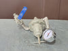 Fuel Pressure Regulator w/ Valve and Gauge