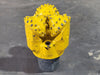 ATLAS COPCO 10-5/8" HD54CA Tricone Rock Drill Bit 91001286 