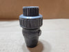 COLONIAL VALVE  V10222B 1" PVC Ball Check Valve Socket x Socket Viton Seals