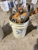 Misc. Tool Bucket #27