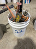 Misc. Tool Bucket #22