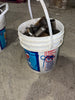 Misc. Tool Bucket #79