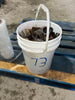 Misc. Tool Bucket #73