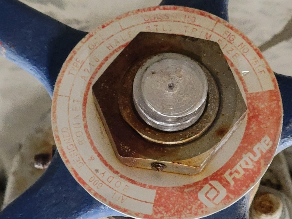FORTUNE 4" Class 150 API 600 Gate Valve 751-F