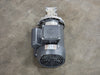 VARVEL 10:1 Ratio Single-stage Worm Reducer SRT04010G3P1905 w/ Electric Motor